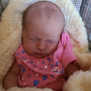 Meet your Posher, Caroline